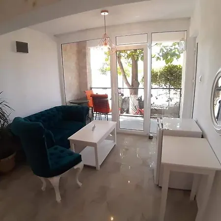 Casa Carmen Salina Artificiala