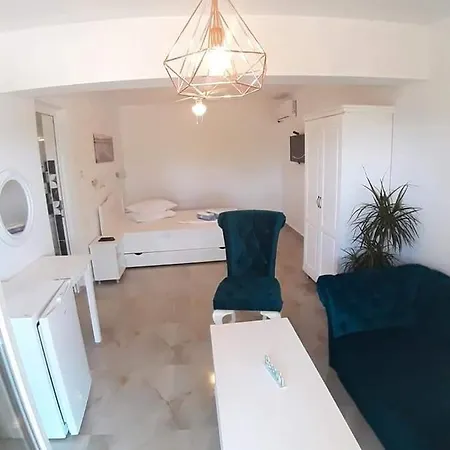 Guest house Casa Carmen Salina Artificiala 3*