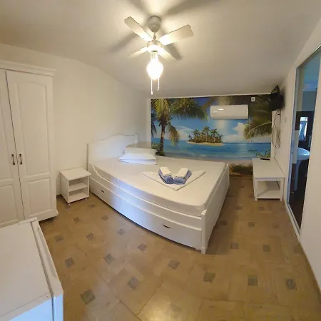 Guest house Casa Carmen Salina Artificiala 3*