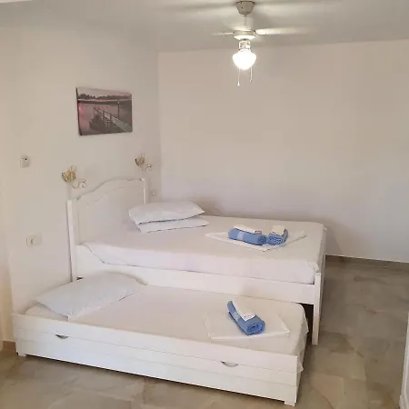 Guest house Casa Carmen Salina Artificiala