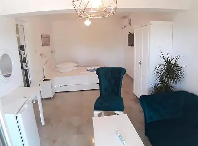 Guest house Casa Carmen Salina Artificiala 3*